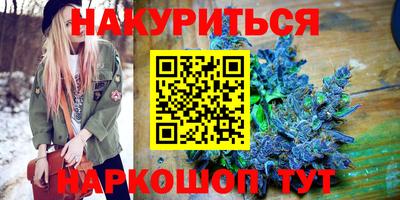 Альфа ПВП Бийск