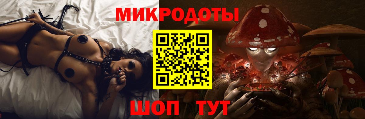 Псилоцибиновые грибы Cubensis  Вход с VPN  Галлюциногенные грибы мицелий  Клин 